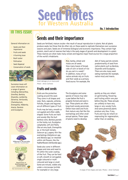 Seeds and Their Importance General Information On: Seeds Are Fertilised, Mature Ovules—The Result of Sexual Reproduction in Plants