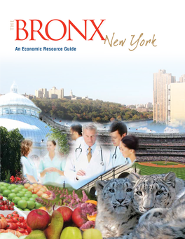 An Economic Resource Guide Bronx Guid Ad-Quality Health Care in Your N'hood Cover 4-10-08.Pdf 4/10/08 5:30:23 PM