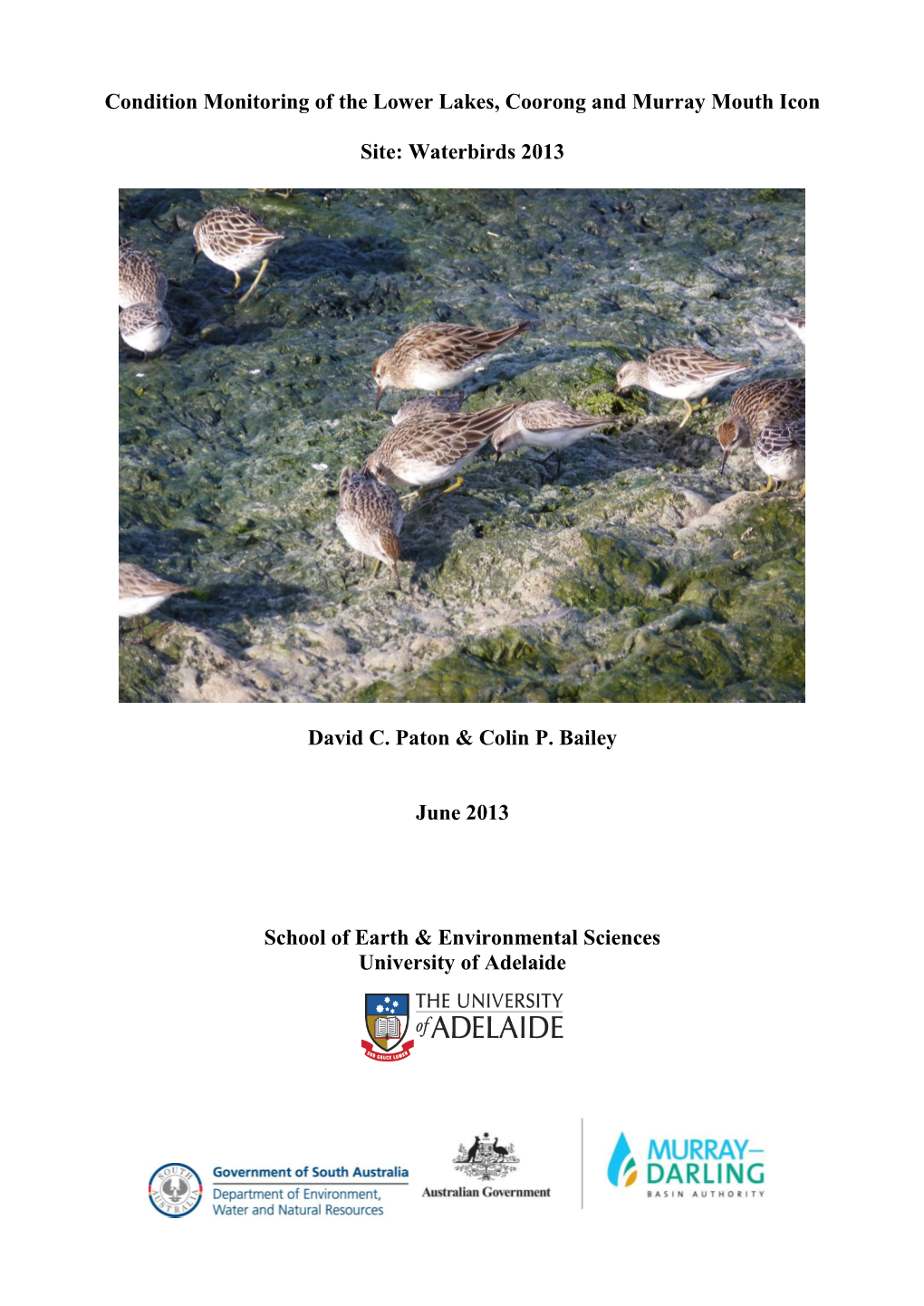 Condition Monitoring of Indicator Bird Species in the Lower Lakes