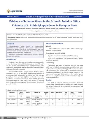 Evidence of Immune Genes in the Crinoid: Antedon Bifida Evidence of A. Bifida Igkappa Gene, Fc Receptor Gene