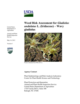 Weed Risk Assessment for Gladiolus Undulatus L. (Iridaceae)