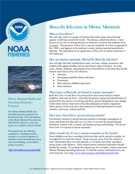 Brucella Infection in Marine Mammals What Is Brucellosis? Brucella Spp