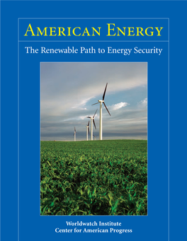 American Energy the Renewable Path to Energy Security