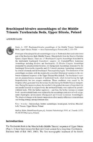 Brachiopod-Bivalve Assemblages of the Middle Triassic Terebratula Beds, Upper Silesia, Poland