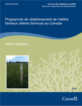 Alétris Farineux (Aletris Farinosa) Au Canada