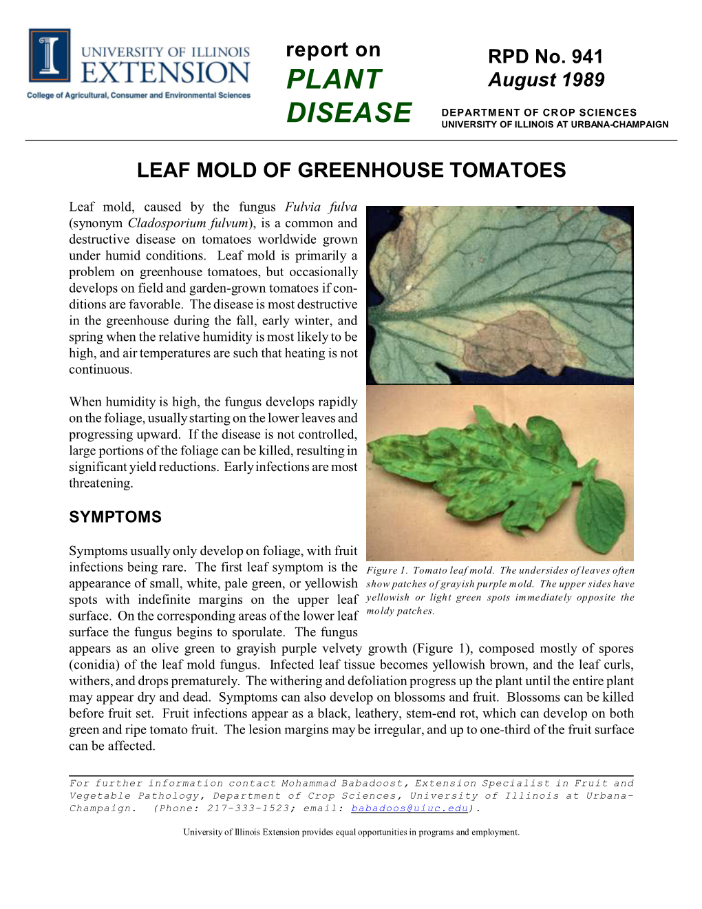 Leaf Mold of Greenhouse Tomatoes