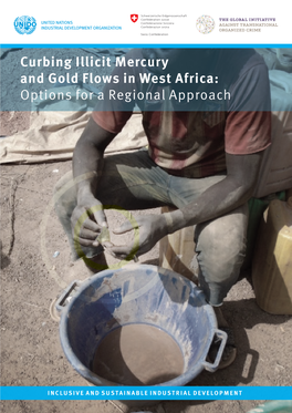 Curbing Illicit Mercury and Gold Flows in West Africa: Options for a Regional Approach