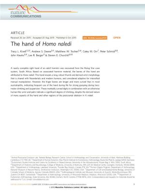 The Hand of Homonaledi