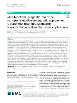 Multifunctional Magnetic Iron Oxide Nanoparticles