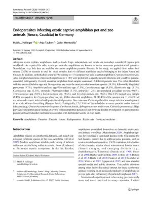 Endoparasites Infecting Exotic Captive Amphibian Pet and Zoo Animals (Anura, Caudata) in Germany