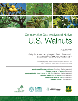 Conservation Gap Analysis of Native U.S. Walnuts (2021)