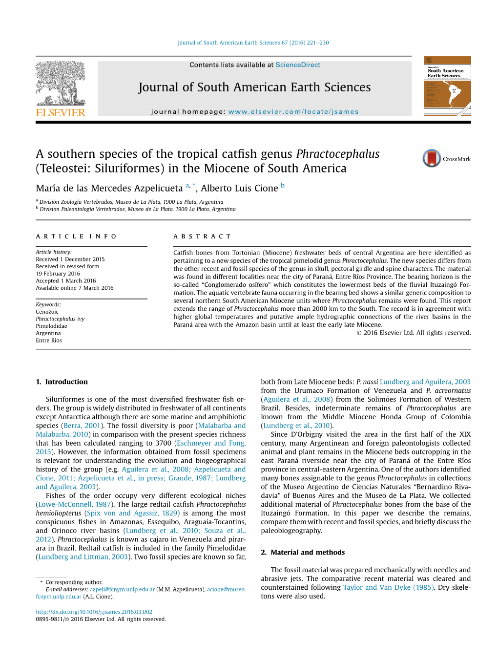 Teleostei: Siluriformes) in the Miocene of South America