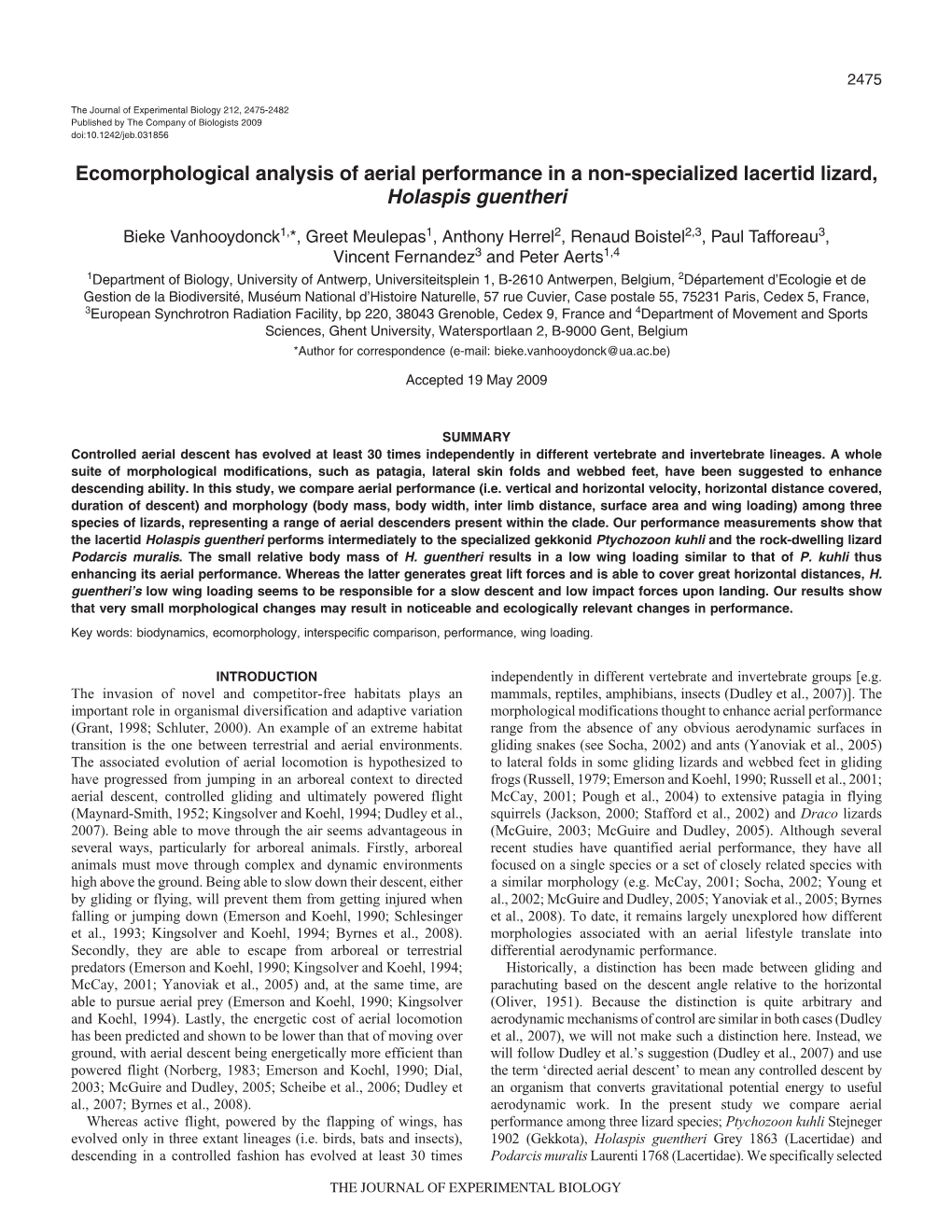 Ecomorphological Analysis of Aerial Performance in a Non-Specialized Lacertid Lizard, Holaspis Guentheri