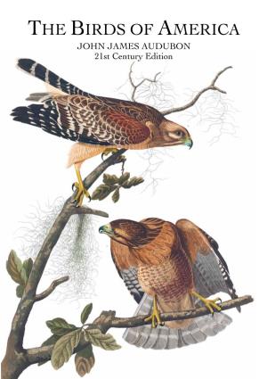 THE BIRDS of AMERICA JOHN JAMES AUDUBON 21St Century Edition