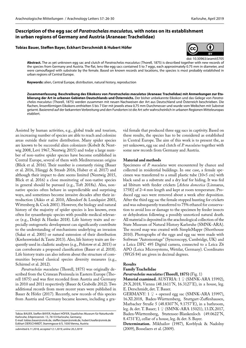 Description of the Egg Sac of Paratrachelas Maculatus, with Notes on Its Establishment in Urban Regions of Germany and Austria (Araneae: Trachelidae)