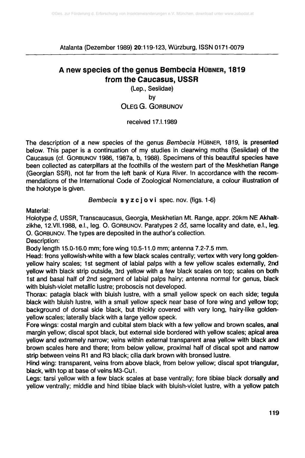 A New Species of the Genus Bembecia HÜBNER, 1819 from the Caucasus