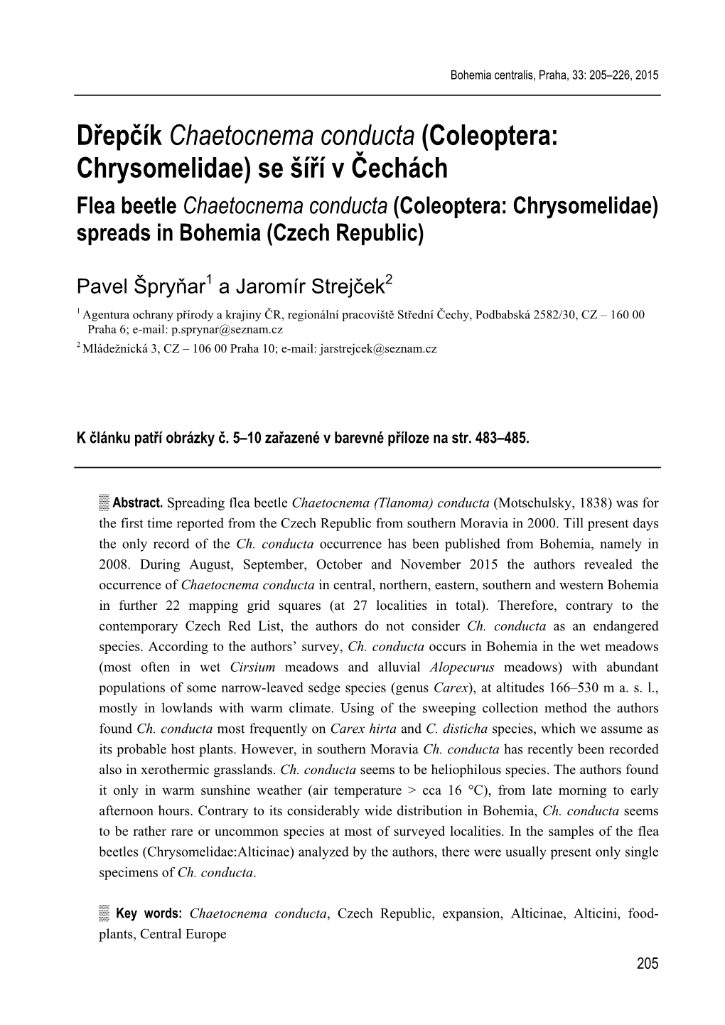 Dřepčík Chaetocnema Conducta (Coleoptera: Chrysomelidae) Se Šíří