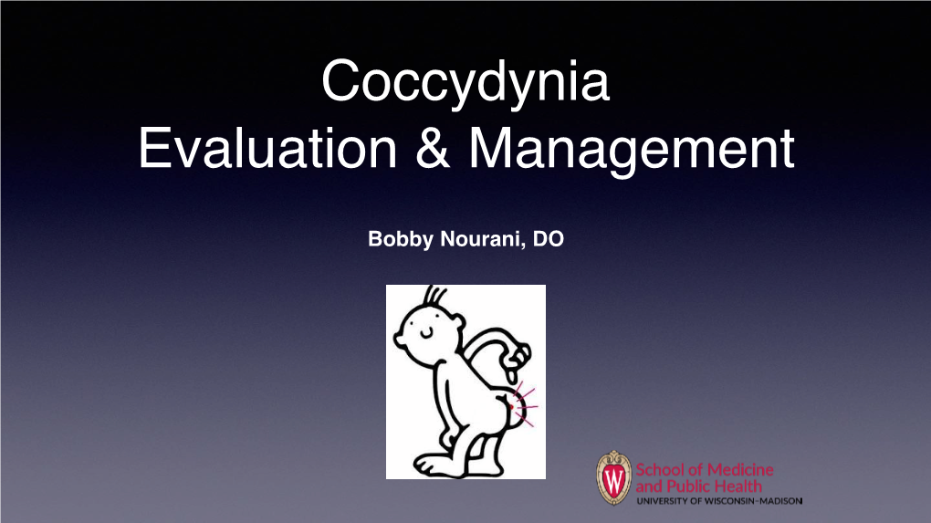 Coccydynia Convo Main Lecture Handout Nourani