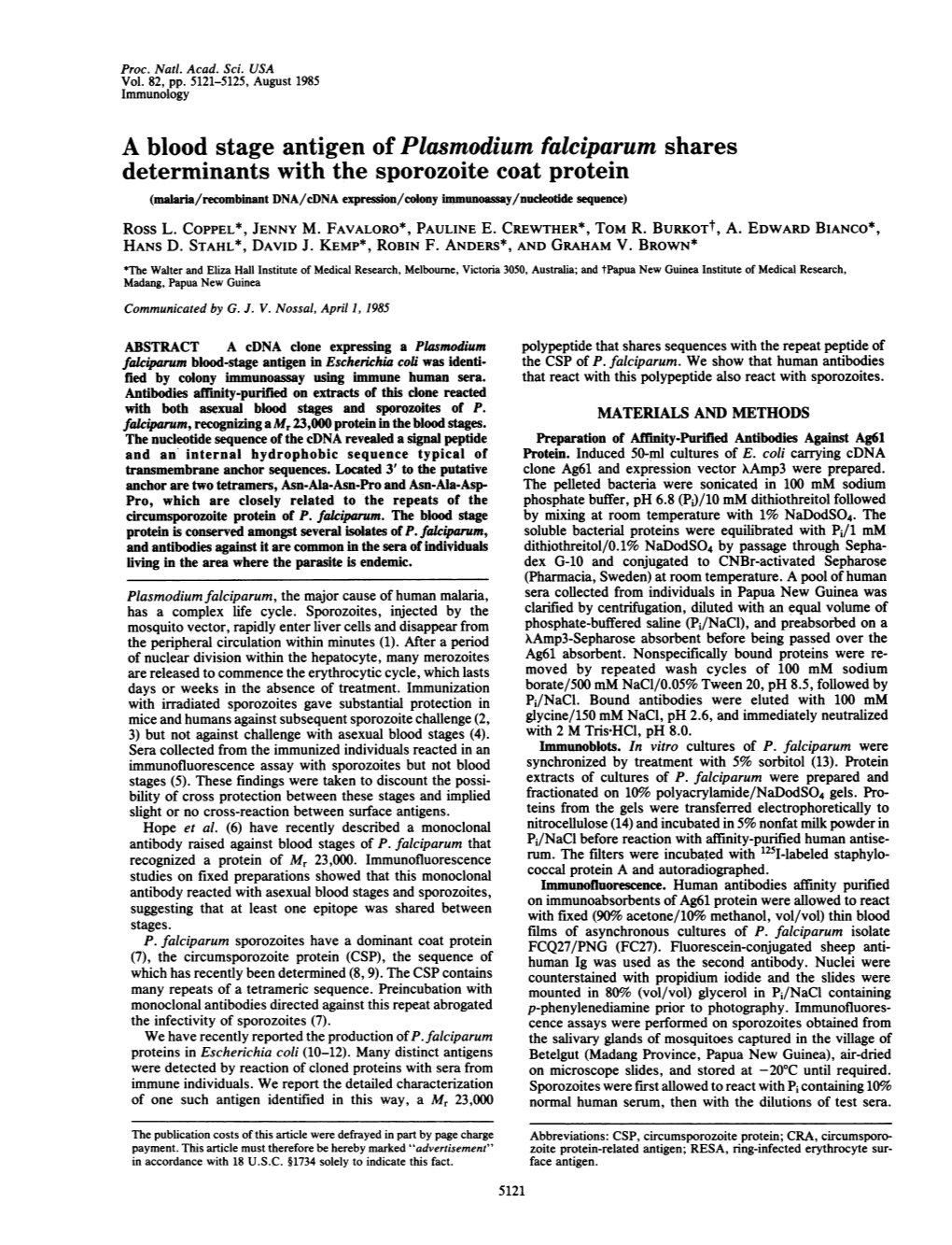 A Blood Stage Antigen of Plasmodium Falciparum Shares