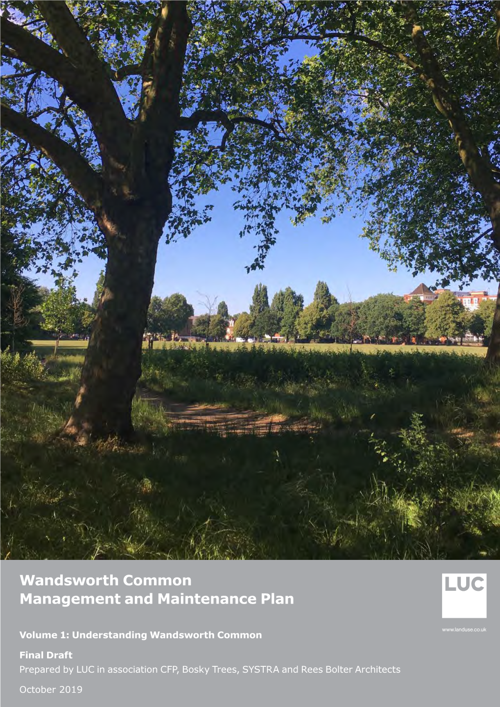 Wandsworth Common Management and Maintenance Plan