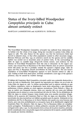 Status of the Ivory-Billed Woodpecker Campephilus Principalis in Cuba: Almost Certainly Extinct