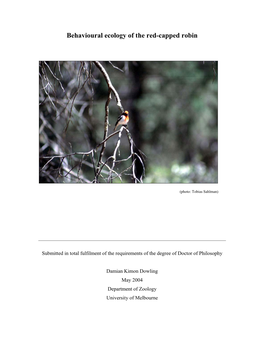 Behavioural Ecology of the Red-Capped Robin