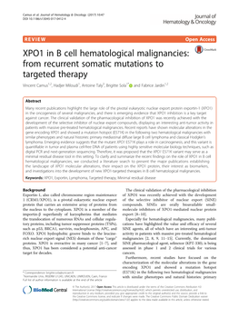 XPO1 in B Cell Hematological Malignancies