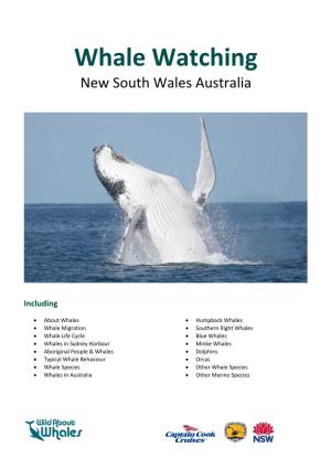 Whale Watching New South Wales Australia