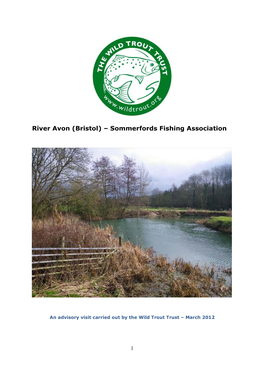 River Avon (Bristol) – Sommerfords Fishing Association