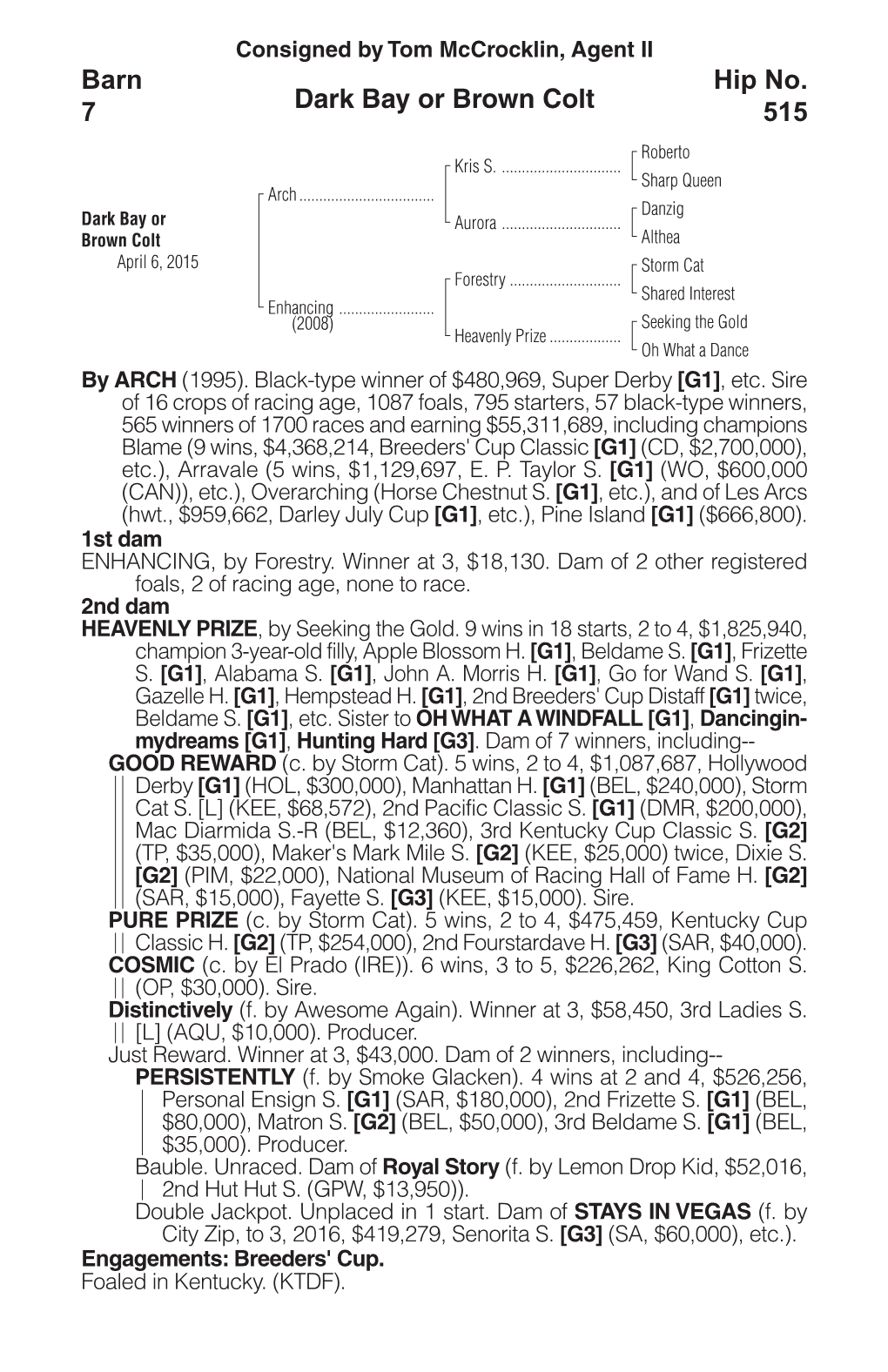 Dark Bay Or Brown Colt Barn 7 Hip No