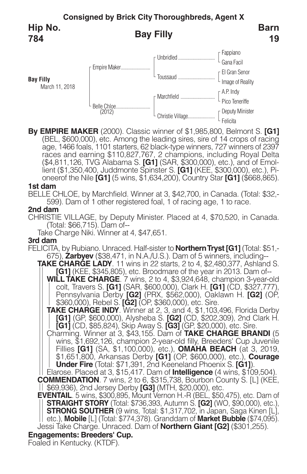 Bay Filly Barn 19 Hip No