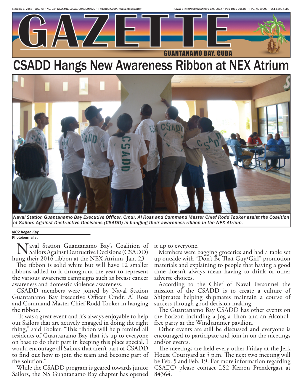 CSADD Hangs New Awareness Ribbon at NEX Atrium