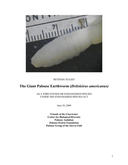 The Giant Palouse Earthworm (Driloleirus Americanus)