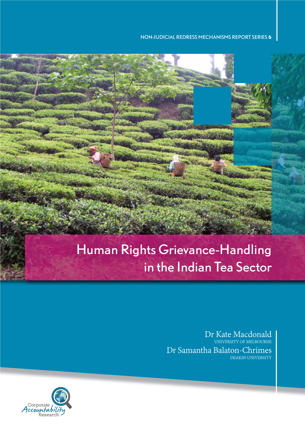 Human Rights Grievance-Handling in the Indian Tea Sector