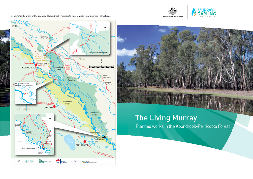 TLM Planned Works in the Koondrook-Perricoota Forest