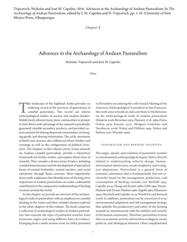Advances in the Archaeology of Andean Pastoralism