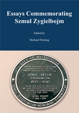 Essays Commemorating Szmul Zygielbojm Edited by Michael Fleming