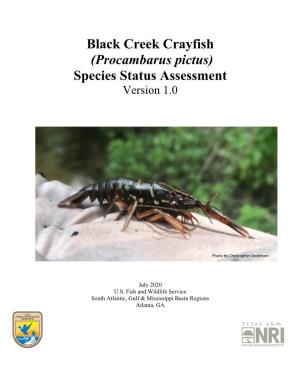 Black Creek Crayfish (Procambarus Pictus) Species Status Assessment