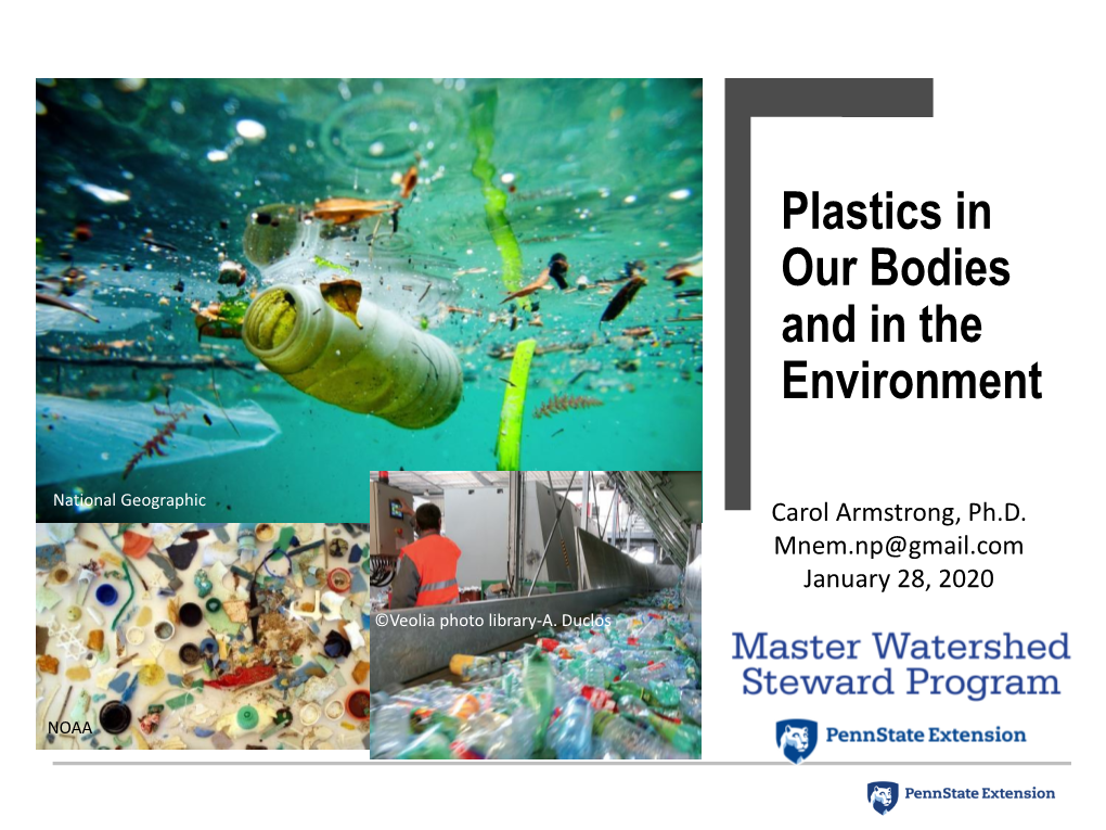 Plastics in Our Bodies and in the Environment - DocsLib