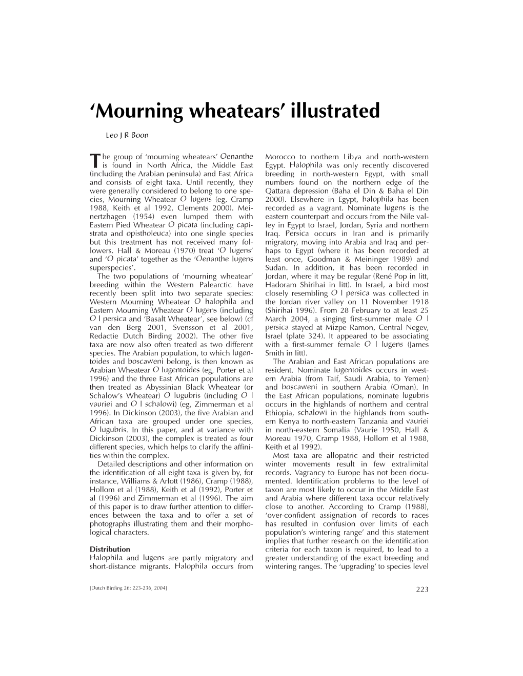 Mourning Wheatears’ Illustrated
