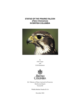 STATUS of the PRAIRIE FALCON (Falco Mexicanus) in BRITISH COLUMBIA