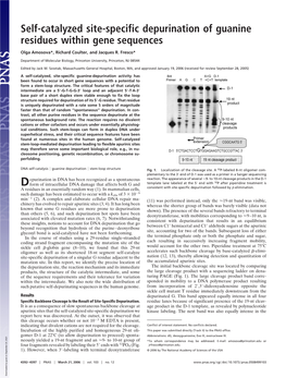 Self-Catalyzed Site-Specific Depurination of Guanine Residues Within Gene Sequences