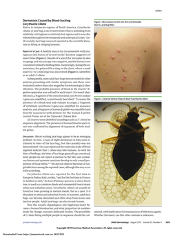 Dermatosis Caused by Blood-Sucking Corythucha Ciliata