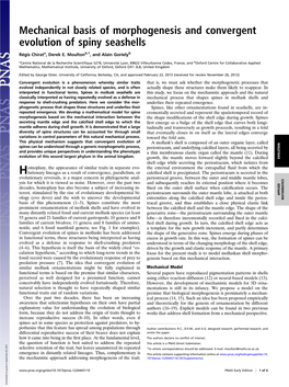 Mechanical Basis of Morphogenesis and Convergent Evolution of Spiny Seashells