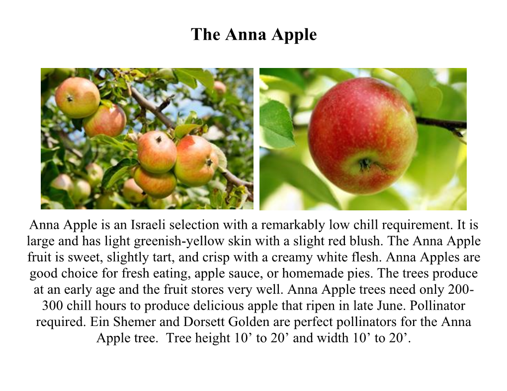 About Anna Apple Tree