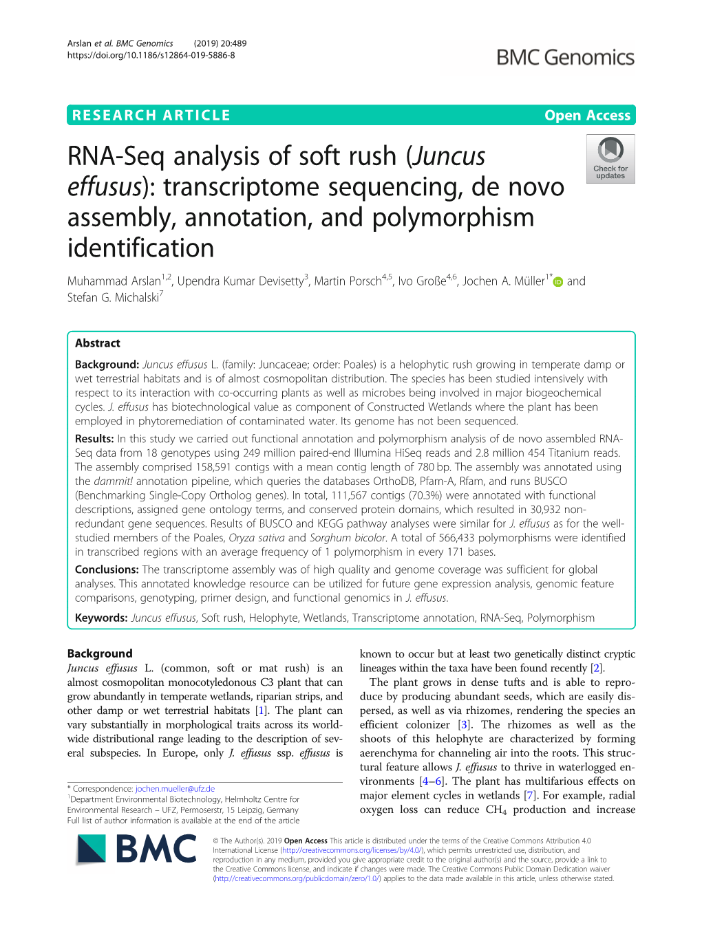 RNA-Seq Analysis of Soft Rush (Juncus Effusus): Transcriptome