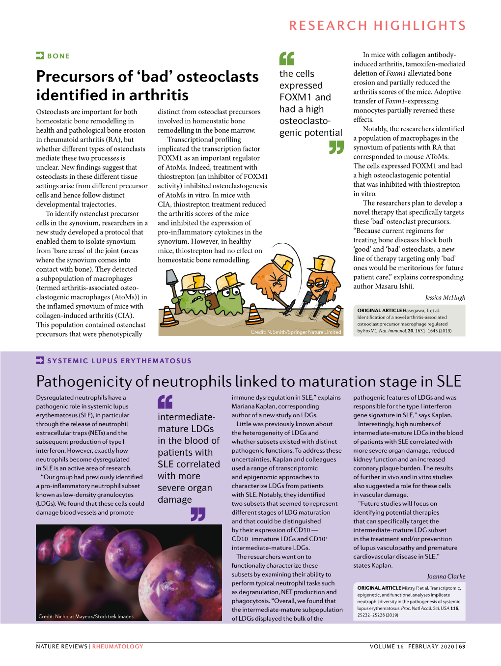 'Bad' Osteoclasts Identified in Arthritis P at Hogenicity of Neutrophils Linked