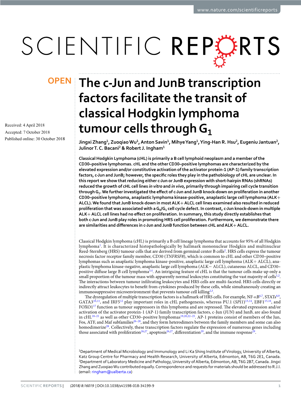 The C-Jun and Junb Transcription Factors Facilitate the Transit of Classical Hodgkin Lymphoma Tumour Cells Through G1