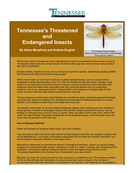 Tennessee's Threatened and Endangered Insects