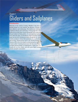 Chapter 1 Gliders and Sailplanes Introduction Welcome to the World of Soaring